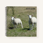 Schattige Lundy Island Lambs Notitieboek (Voorkant)
