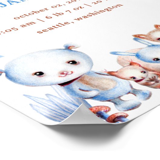 Schattige Magische Bosdieren Geboorte Stats Jongen Poster (Hoek)