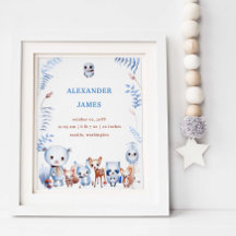 Schattige Magische Bosdieren Geboorte Stats Jongen