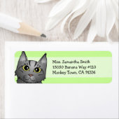 Schattige Maine Coon Cat Cartoon - Silver Tabby Etiket (Insitu)