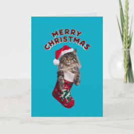 Schattige Maine Coon Kat Kerst Feestdagen Kaart