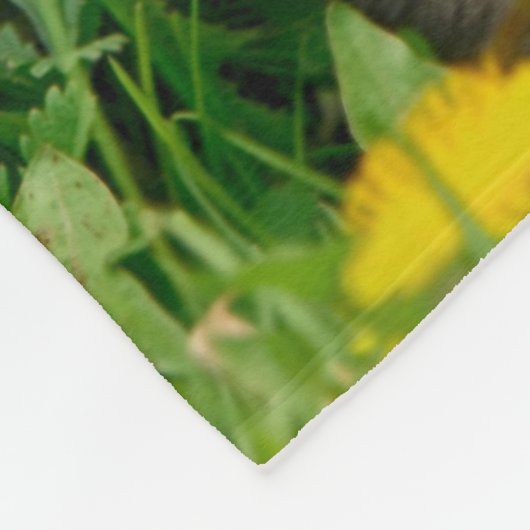 Schattige Maine Coon Kitten Cat in Flowers Fleece Deken (Hoek)