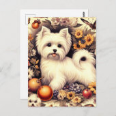  Schattige Maltees Briefkaart (Voorkant / Achterkant)