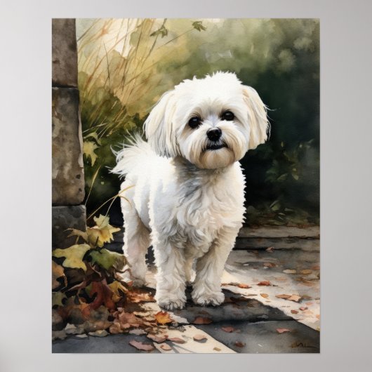 Schattige Maltees Hondenkunst Print Poster (Voorkant)