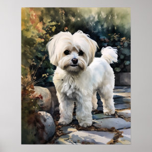 Schattige Maltees Hondenkunst Print Poster