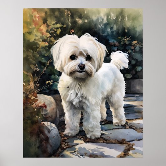 Schattige Maltees Hondenkunst Print Poster (Voorkant)