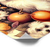  Schattige Maltees Poster (Hoek)