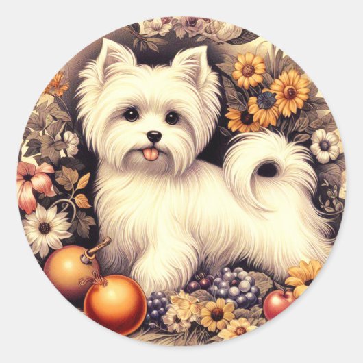 Schattige Maltees Ronde Sticker (Voorkant)