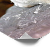 Schattige Maltese puppy Celebrates Halloween Poster (Hoek)