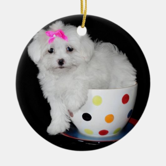 Schattige Maltese puppy Keramisch Ornament (Voorkant)
