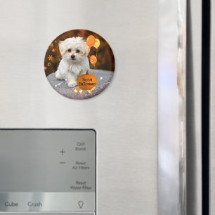 Schattige Maltese Puppy Viert Halloween  Magneet