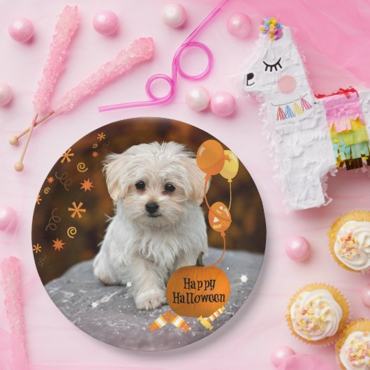 Schattige maltese puppy viert Halloween Papieren Bordje (Feest)