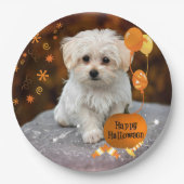 Schattige maltese puppy viert Halloween Papieren Bordje (Voorkant)