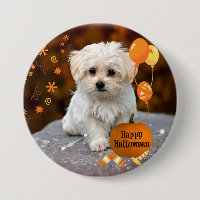 Schattige Maltese Puppy viert Halloween