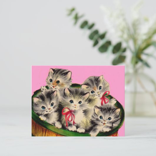 schattige mand o' kittens uit 1950 briefkaart (Staand voorkant)