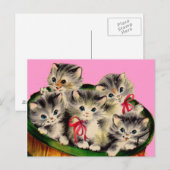 schattige mand o' kittens uit 1950 briefkaart (Voorkant / Achterkant)