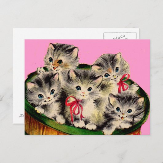 schattige mand o' kittens uit 1950 briefkaart (Voorkant / Achterkant)