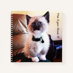 Schattige Mask Blue Eyed Siamese Kitten Photo Notitieboek