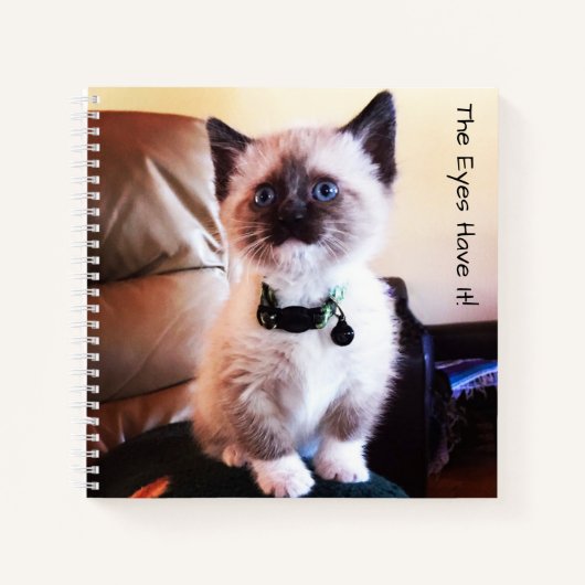 Schattige Mask Blue Eyed Siamese Kitten Photo Notitieboek (Voorkant)