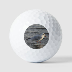 Schattige meeuw golfballen
