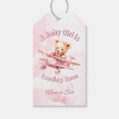 Schattige Meisje Baby Beer Piloot Roze Vliegtuig M Cadeaulabel (Voorkant)