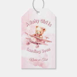 Schattige Meisje Baby Beer Piloot Roze Vliegtuig M Cadeaulabel