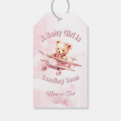 Schattige Meisje Baby Beer Piloot Roze Vliegtuig M Cadeaulabel (Achterkant)