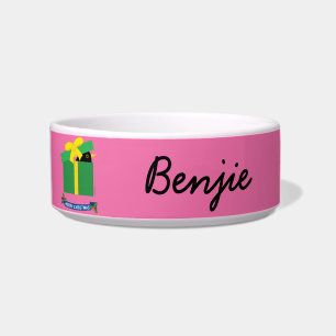 Schattige Merel Die Uit Een Cadeaudoos Kijkt Aange Voerbakje