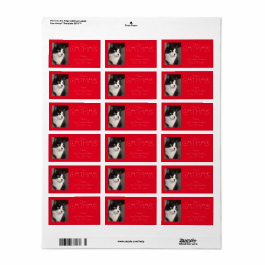 Schattige Merry Catmas Christmas Cat foto Retour Etiket (Full Sheet)