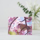 schattige mest op de kersenboom briefkaart (Staand voorkant)