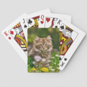 Schattige met maine Coon Kitten Cat in een bloem. Pokerkaarten (Achterkant)