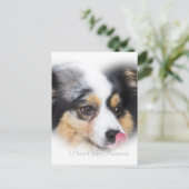 Schattige mini Aussie Gift Assortation Briefkaart (Staand voorkant)