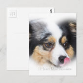 Schattige mini Aussie Gift Assortation Briefkaart (Voorkant / Achterkant)