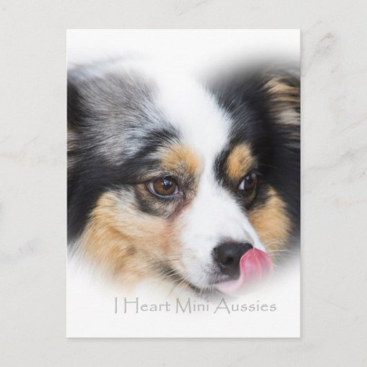 Schattige mini Aussie Gift Assortation Briefkaart (Voorkant)