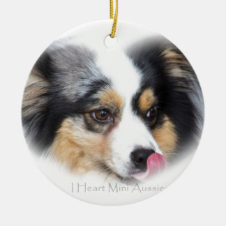 Schattige mini Aussie Gift Assortation Keramisch Ornament