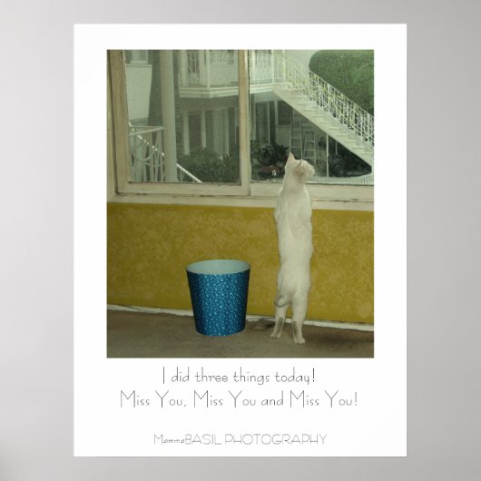 Schattige Miss You Poster! Poster (Voorkant)