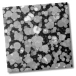 Schattige modern zwart wit cirkels polka dotpatroo tegeltje<br><div class="desc">Moderne Funky Black White Circles Polka Dot Pattern Keramische Tegel. Iedereen houdt van een polka dot patroon! Deze heeft een bubbel of lichten kijk ernaar! Of je deze tegel wilt gebruiken als een klein onderzetter of trivet voor een drink of bord... of je wilt gaan groot met een keuken backsplash,...</div>