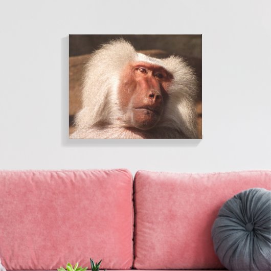 Schattige Monkey Poster Canvas Afdruk (Insitu (Woonkamer))