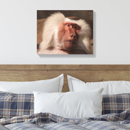 Schattige Monkey Poster Canvas Afdruk (Insitu (Slaapkamer))
