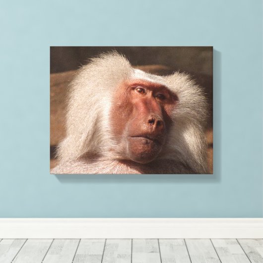 Schattige Monkey Poster Canvas Afdruk (Insitu (Houten vloer))