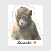 Schattige Monkey Sticker (Vel)