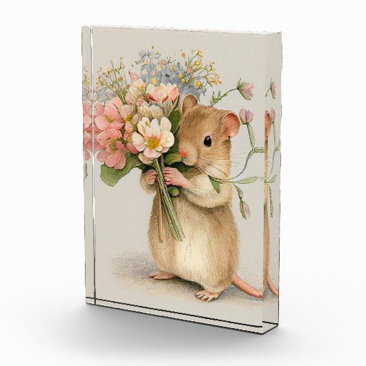 Schattige muis fotoblokken (Rechts)