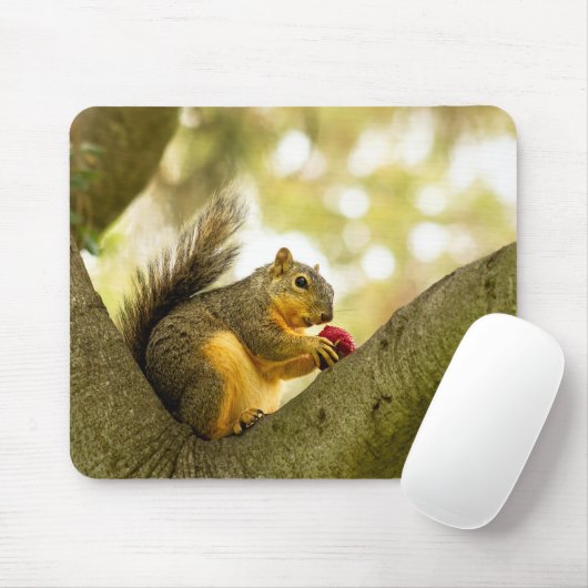 Schattige Muismat eekhoorn (Met muis)