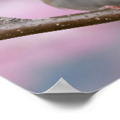 Schattige mus Close-Up in Cherry Blossom Tree Poster (Hoek)