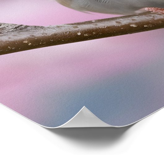 Schattige mus Close-Up in Cherry Blossom Tree Poster (Hoek)