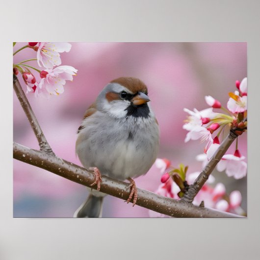 Schattige mus Close-Up in Cherry Blossom Tree Poster (Voorkant)