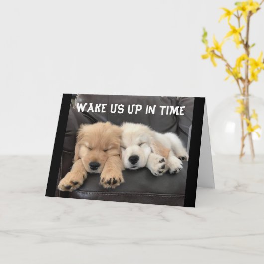 SCHATTIGE NAPPEN ZENDT WISH "JOU MERRY CHRISTMAS" KAART (Gele Bloem)