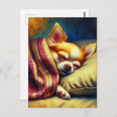 Schattige Napping Chihuahua | Contact houden Briefkaart (Voorkant / Achterkant)