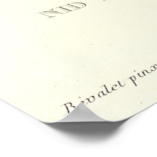 Schattige nesten van kreukelvogels - ! poster (Hoek)