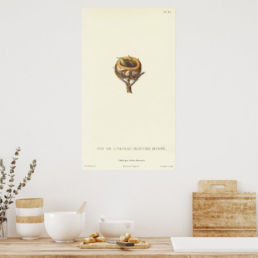 Schattige nesten van kreukelvogels - ! poster (Keuken)